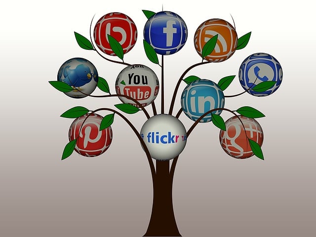 Referral-Network