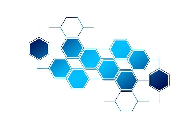 Referral-Network