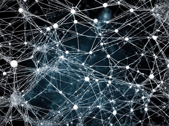 referral-network-640x480-95178532.jpeg