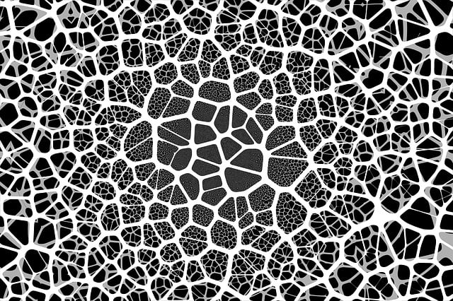 referral-network-640x480-9606122.jpeg